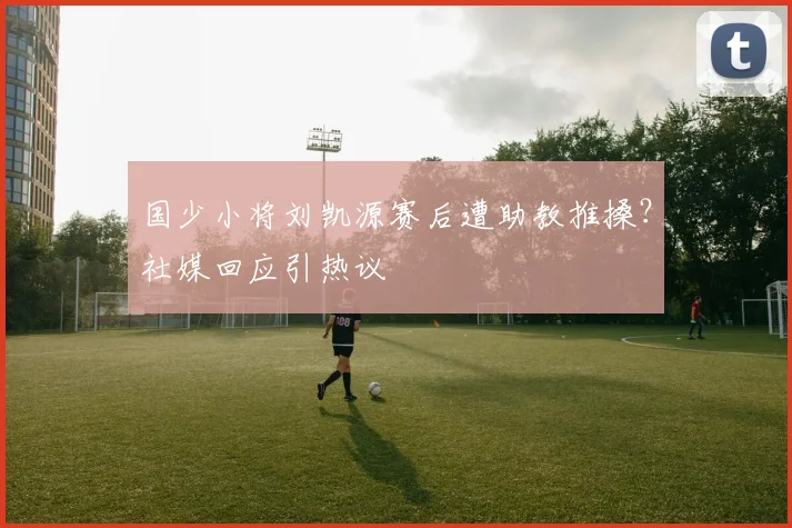 国少小将刘凯源赛后遭助教推搡？社媒回应引热议
