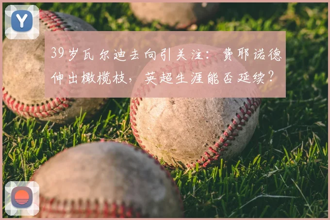 39岁瓦尔迪去向引关注：费耶诺德伸出橄榄枝，英超生涯能否延续？